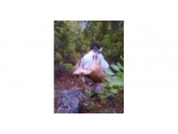 Kaçak yaban keçisi avına 420 bin TL ceza