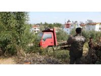 Ağaç katliamında kesilen ağaçları taşıyan kamyon önce güvenlik kameralarına. sonra jandarmaya yakalandı