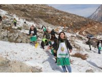 Pozantı’da sedir tohumları toprakla buluştu