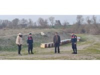 Çalınan arı kovanları bulundu