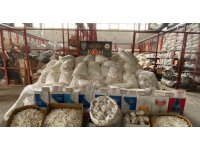 Adana’da 23 milyon 740 bin adet kaçak makaron ele geçirildi