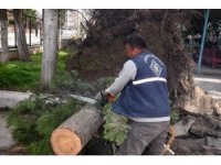 Osmaniye’de fırtına sonrası temizlik çalışmaları sürüyor