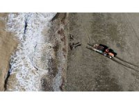 Mersin’de selin denize döktüğü odunlar kışlık yakacak için toplandı