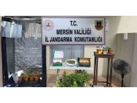 Evini uyuşturucu üretim tesisine çevirmiş