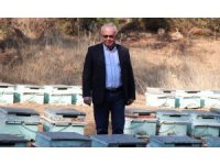 İklim krizi arıları da vurdu