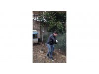 Hapis cezası ile aranan şüpheli kümeste yakalandı