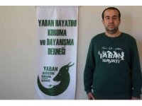 Av yasağı başladı