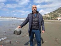 Hatay’da yüzlerce ölü denizanası sahile vurdu