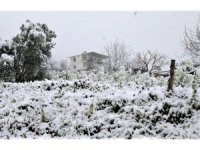 Yurdu etkisi altına alan kar Mersin’e ulaştı