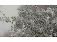 Samandağ’da 10 yıl aradan sonra yağan kar, kartpostallık görüntüler ortaya çıkardı