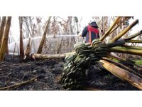 Mersin’de sera ve muz bahçesi yandı