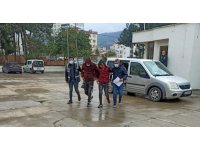 Osmaniye’de zeytinyağı çalan 2 kişi tutuklandı