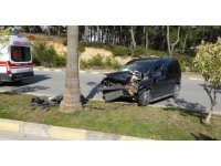 Kontrolden çıkan ticari araç palmiyeye çarptı: 2 yaralı