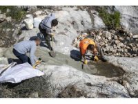 Mersin’de sinek ve haşereyle mücadele çalışmaları sürüyor