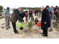 Mersin’de 35 hektar alana 45 bin fidan dikildi