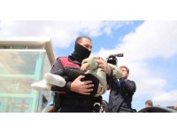 Yabancı uyruklu kadın üst geçitte, polis ve sağlıkçılara ecel terleri döktürdü