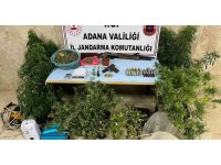 Jandarmadan evde uyuşturucu imalatına baskın