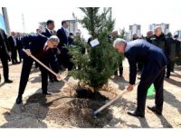 Mersin’de fidanlar toprakla buluştu