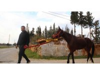 Çaldığı atla markete girip attan kasada indi