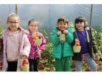 Minik ellerin ilk hasat sevinci