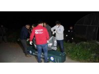 Antalya’da yaşlı adam serada ölü bulundu, ortağı gözyaşlarını tutamadı