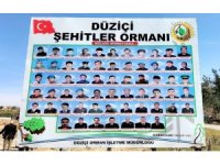 Osmaniye’de "Şehitler Ormanı" oluşturuldu