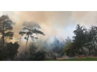 Tarsus’ta orman yangını