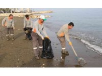 Akdeniz’de kıyılar ölü zehirli denizanalarından temizleniyor
