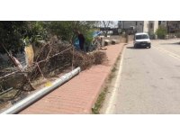 2 yıl önce kazayı kıl payı atlatan köpek bu kez kurtulamadı