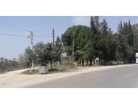 Antalya’da sahur vakti cinayet