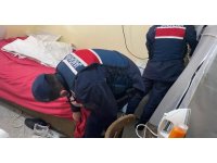 Tefecilik yaptığı belirlenen 9 şüpheli tutuklandı