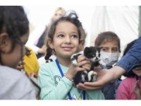 Gönüllüler sokak hayvanlarını besledi