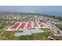 Erdemli Hal Tesisinin yüzde 75’i tamamlandı