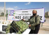 Silifke’de üreticilere alıç ve adaçayı fidesi dağıtıldı