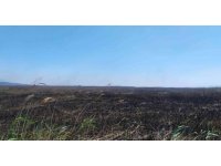 Göksu Deltası’nda çıkan yangın kendiliğinden söndü