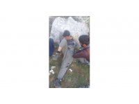 Kaybolan çoban yaralı halde bulundu