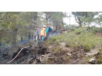 Mersin’de orman yangını büyümeden söndürüldü