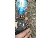 Yangında mahsur kalan kaplumbağa yanmaktan son anda kurtarıldı