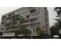 Profesörün ikinci eş acısı