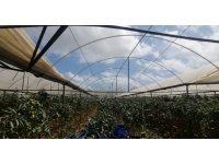 Antalya’da hortum seraları vurdu