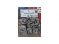 3,4 km uzunluktaki elektrik telini çalan 2 şüpheli yakalandı