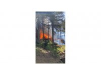 Hatay’da Amanoslar Üçkoz Yaylasında çıkan yangında 5 ev yandı