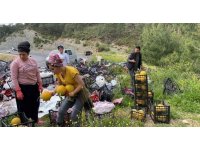 Sebze yüklü kamyon yan yattı