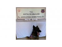 Yolcu otobüsünde 3 kilo 600 gram uyuşturucu ele geçirildi