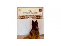 Yolcu otobüsünde uyuşturucu bulundu