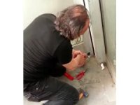 Pencere pervazında mahsur kalan serçe kurtarıldı