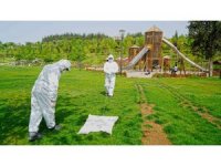 Kahramanmaraş’ta zararlılarla mücadele