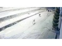 Aynı yerde 10’u geçkin köpeğin bebek arabalı aile ve vatandaşlara kabus yaşattığı anlar kamerada