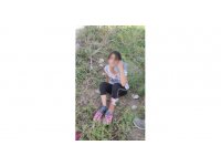 Sokak köpekleri küçük çocuğu yaraladı