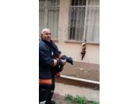 Pencere korkuluğuna sıkışan kediyi itfaiye kurtardı